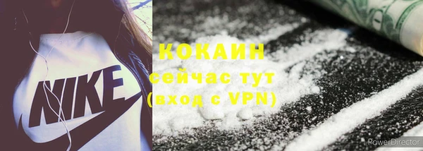 дурь Гусев