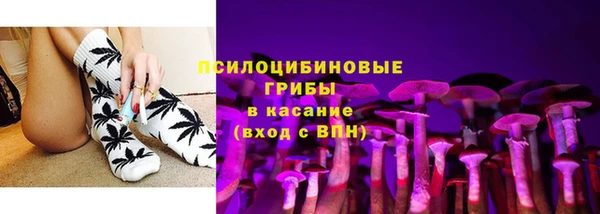 дурь Гусев