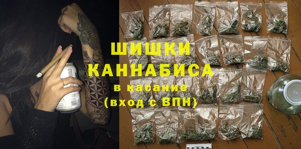 дурь Гусев