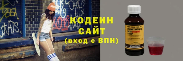 спайс Гусь-Хрустальный