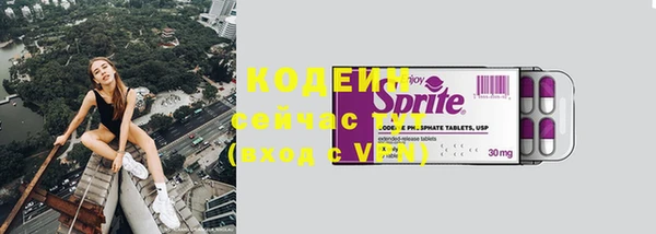 дурь Гусев