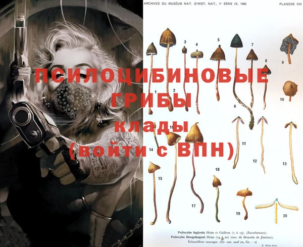 спайс Гусь-Хрустальный
