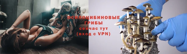 спайс Гусь-Хрустальный