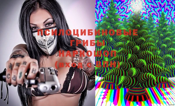 спайс Гусь-Хрустальный