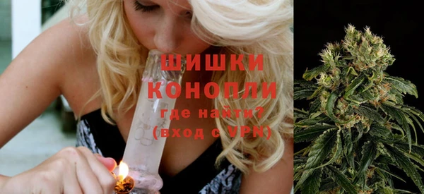 спайс Гусь-Хрустальный