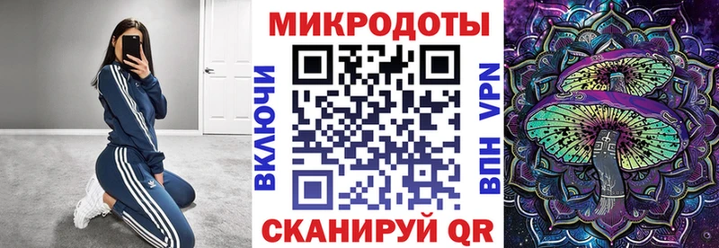 Купить где  Тында  Галлюциногенные грибы Cubensis 